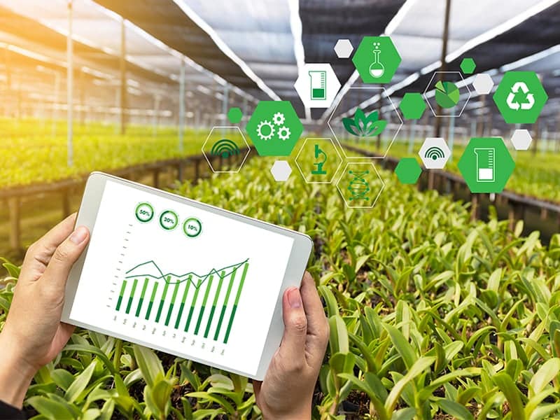 AI In Agriculture: Smart Farming And Sustainable Practices.