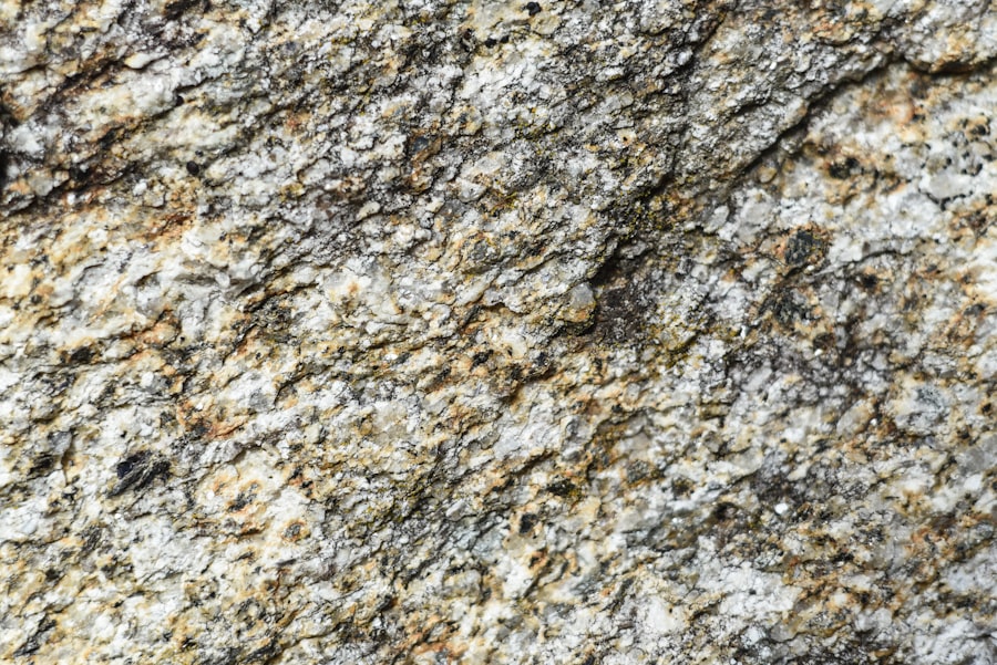 Rosetta Stone