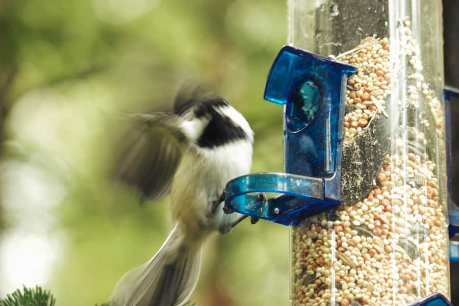 Automated feeding