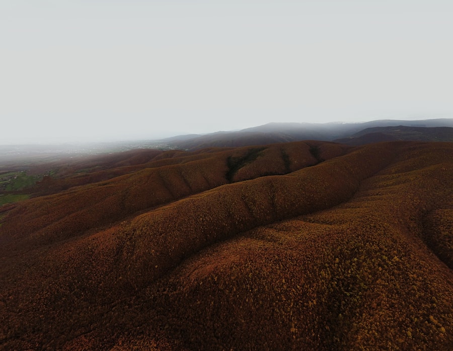 Virtual reality landscape