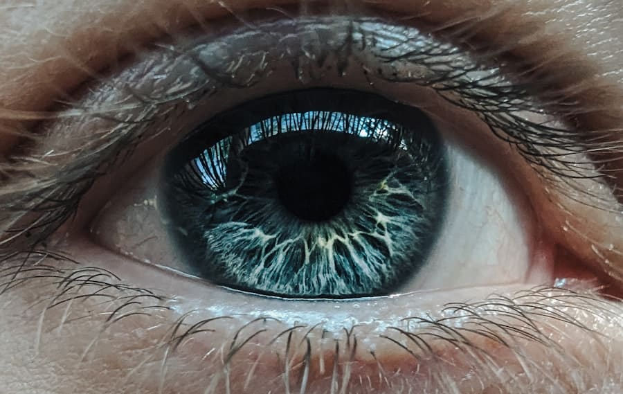 Enhanced Vision