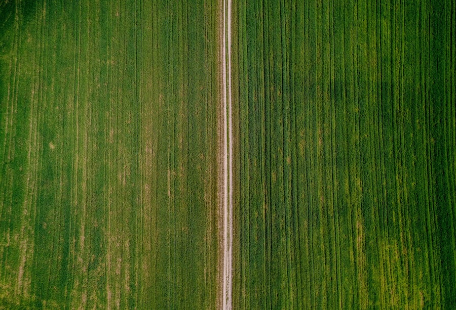 Smart Farming