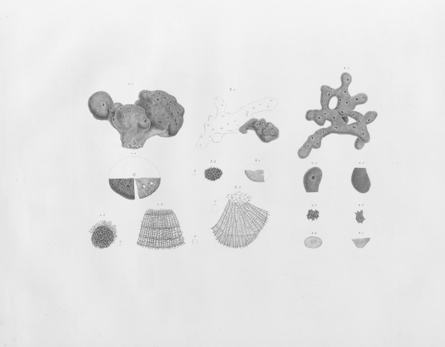 AI-Generated Characters