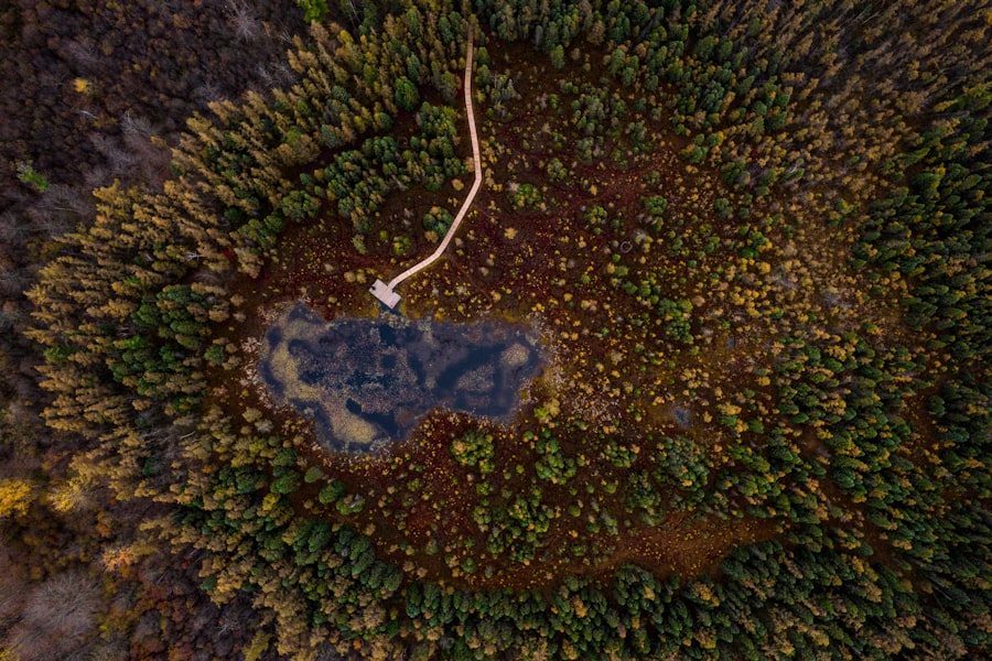 Player tracking