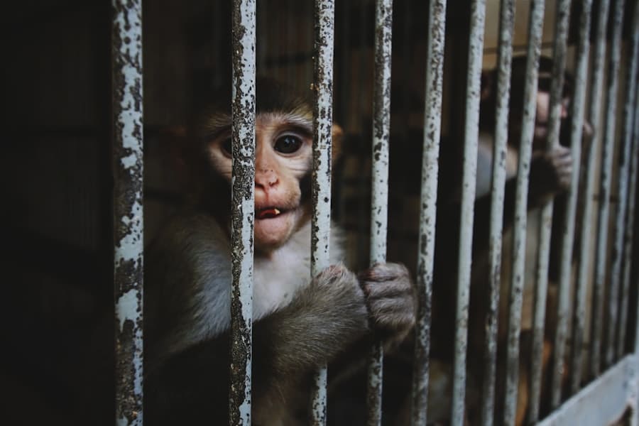 Ethical concerns