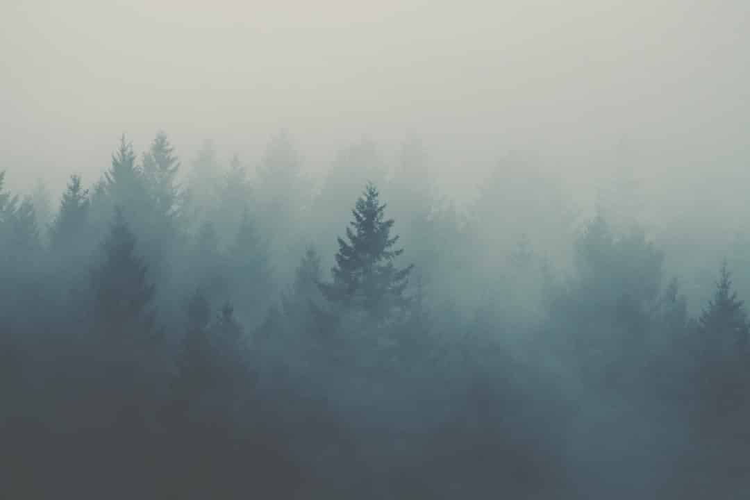 Photo AI Environment