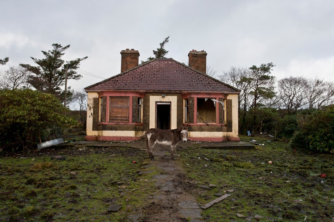 Photo AI, Disaster Management