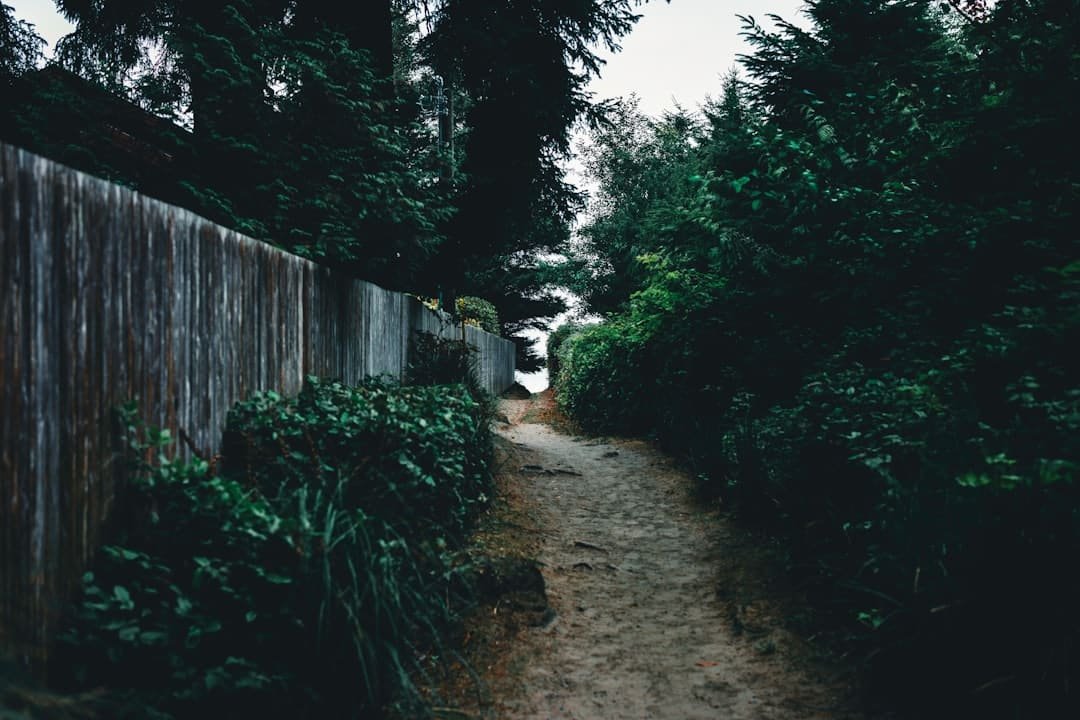 Photo Narrow AI