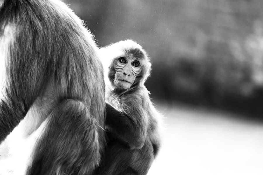 Photo Ethical concerns