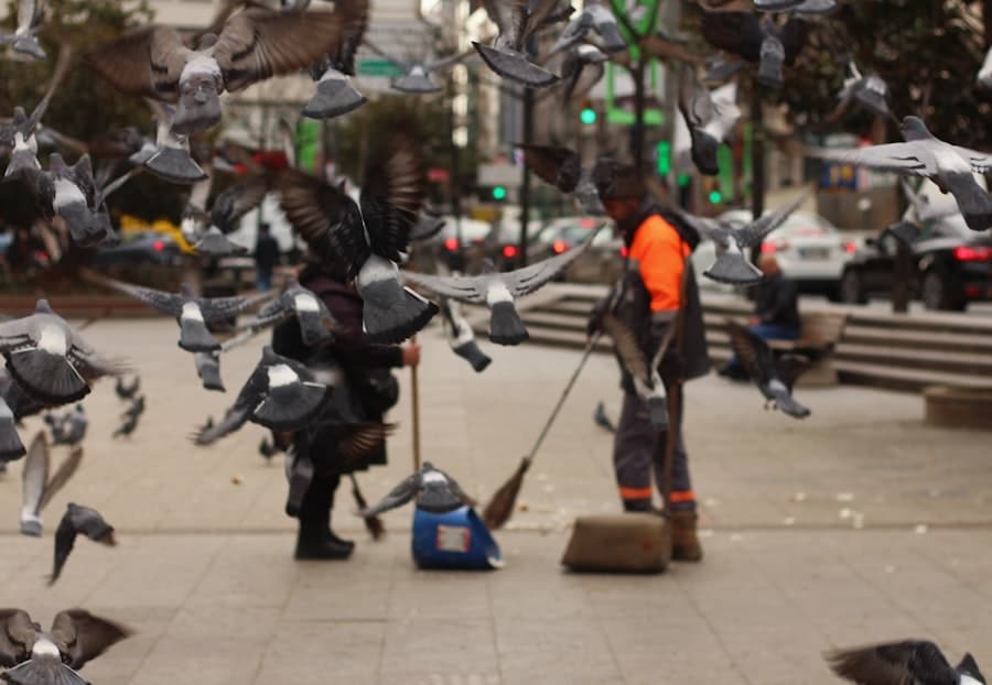 Photo Robot uprising