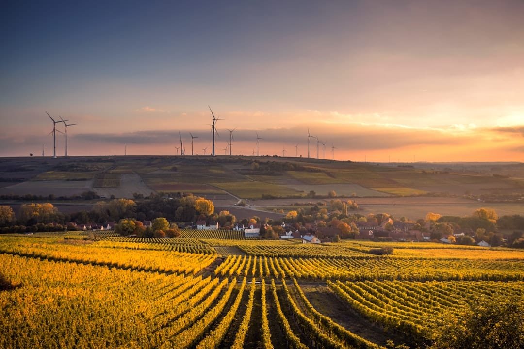 Photo Smart Farming