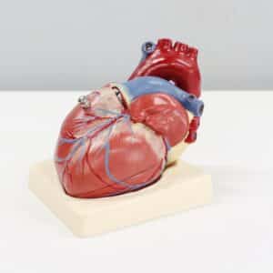 Photo Heart-shaped data diagram