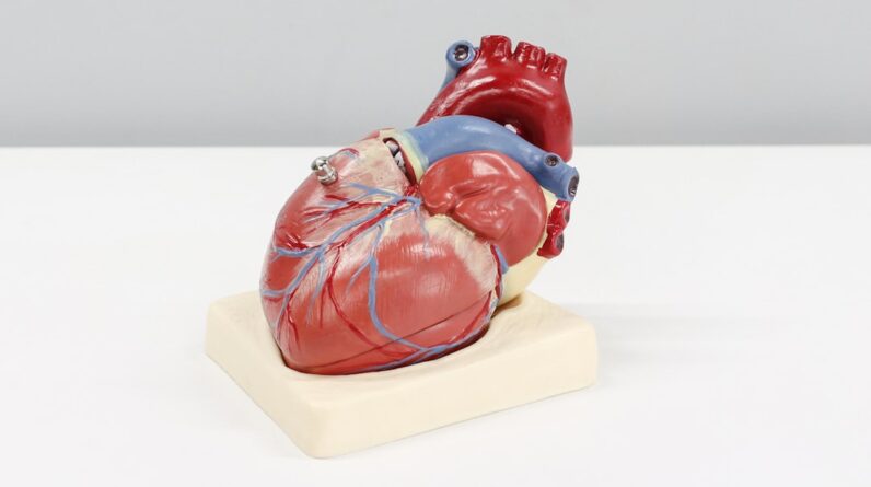 Photo Heart-shaped data diagram