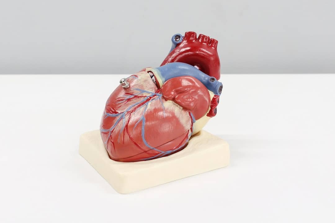 Photo Heart-shaped data diagram