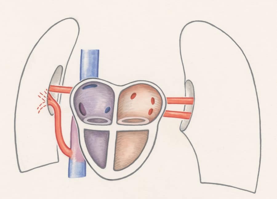 Photo Heart-shaped data diagram