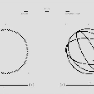 Photo Quantum Computer
