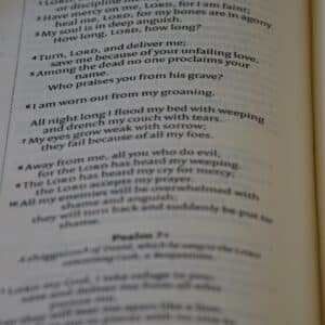 Photo Algorithmic Recipes