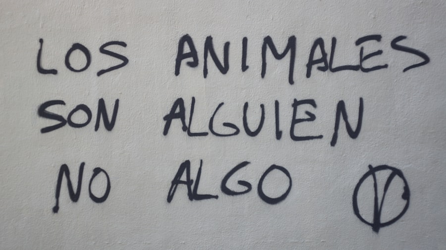 Photo Animal translator