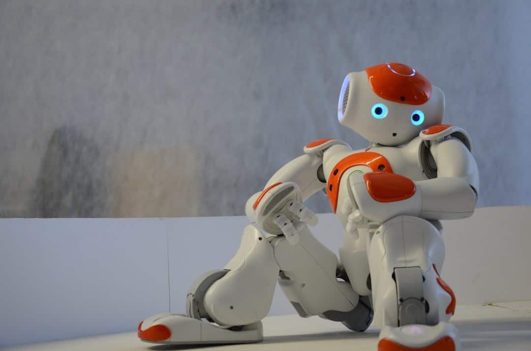 Photo Robot companion