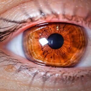 Photo Enhanced Vision