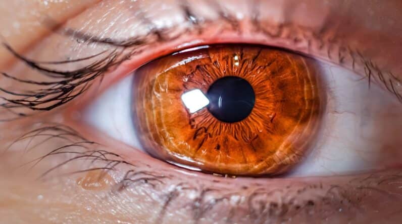 Photo Enhanced Vision