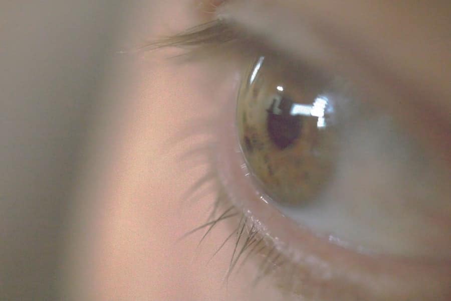 Photo Enhanced Vision