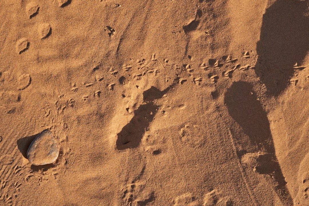 Photo Rover on Mars
