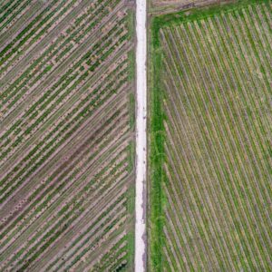 Photo Smart Farming