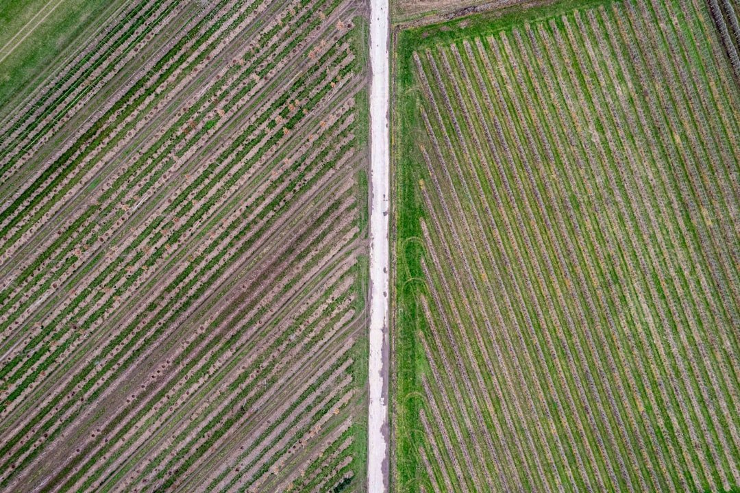 Photo Smart Farming