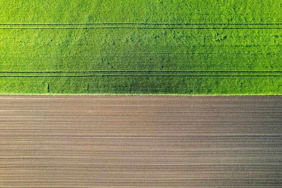 Photo Smart Farming