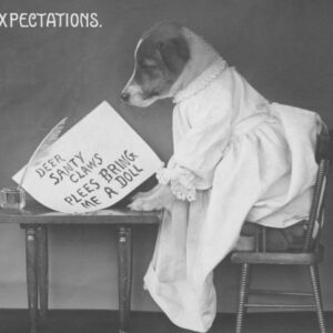 Photo Predictive Analytics