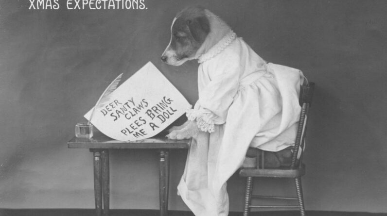 Photo Predictive Analytics