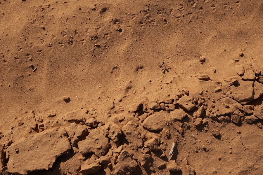 Photo Rover on Mars