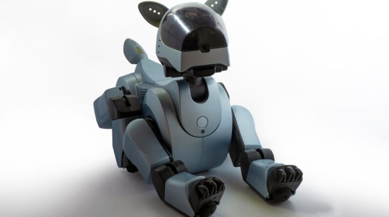 Photo AI-powered chatbot