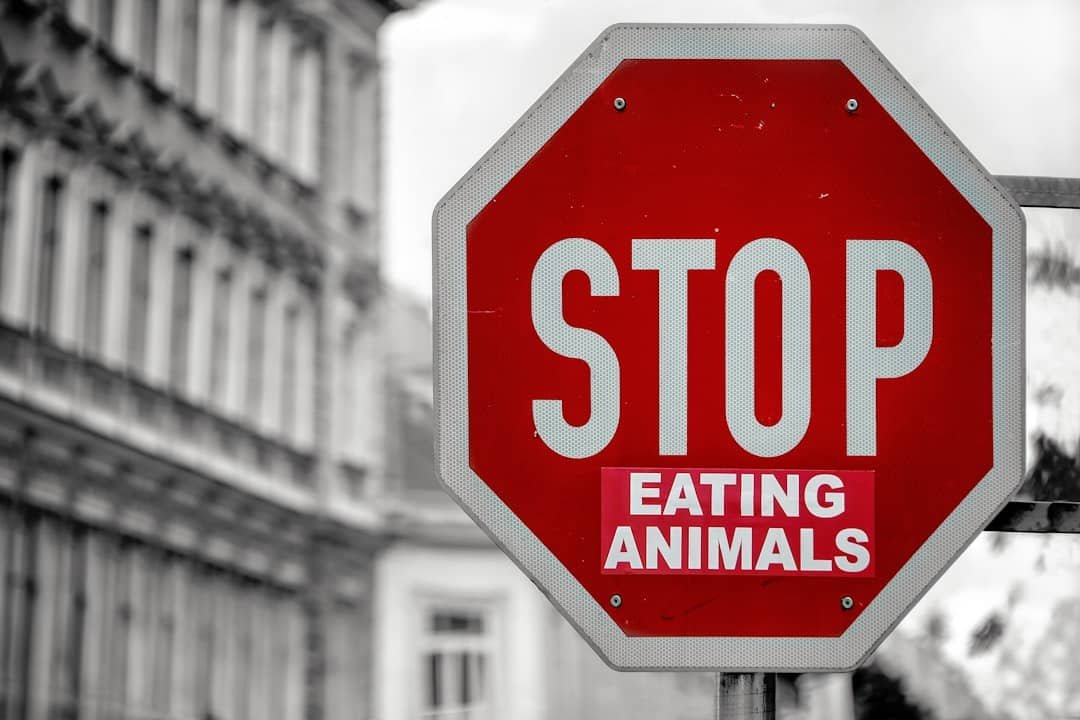 Photo AI Ethical Concerns