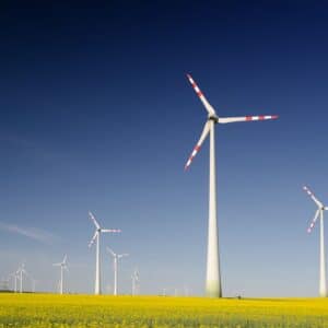 Photo Sustainability