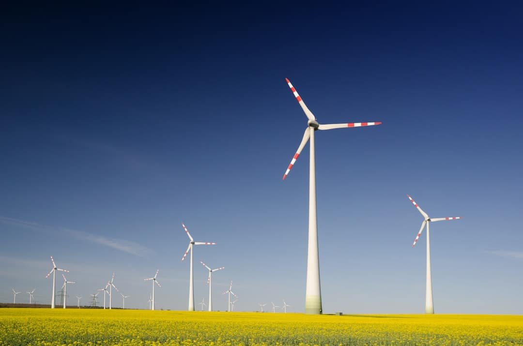 Photo Sustainability