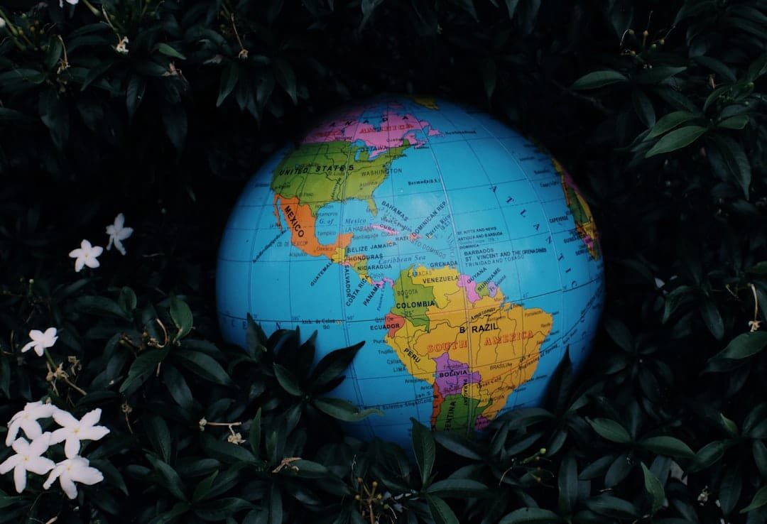 Photo AI in Environmental Science